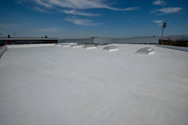 Best Skylight Installation and Repair  in Cheyenne, WY